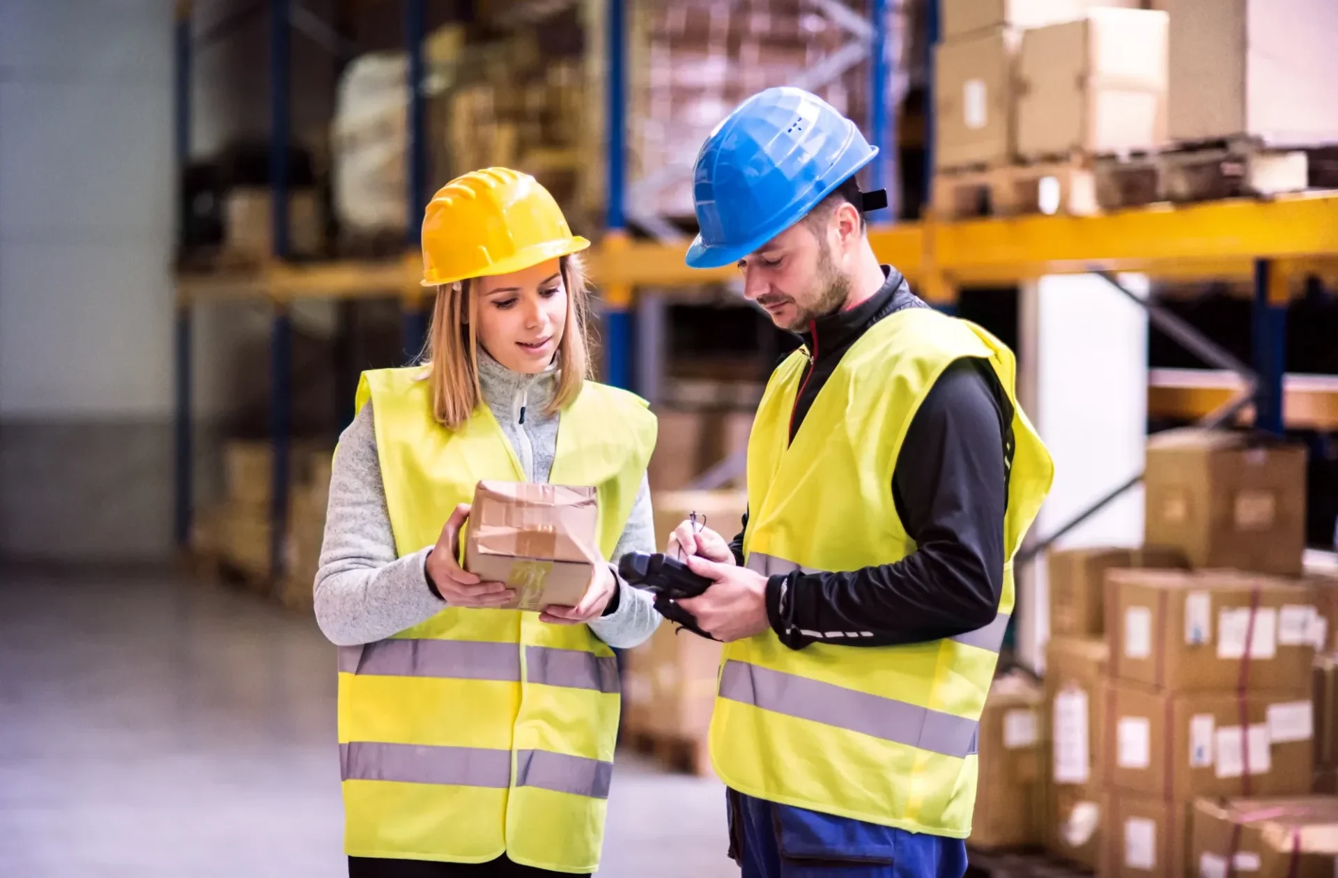 Accompagnement dans la réflexion et l’élaboration du plan d’actions 